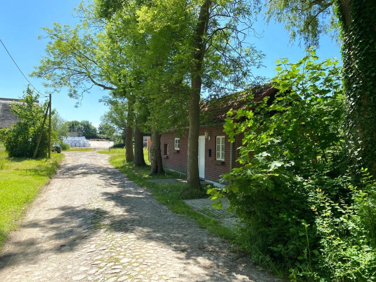 Hofgut Bisdamitz - Ferienhaus "Knoff" Екстериор снимка