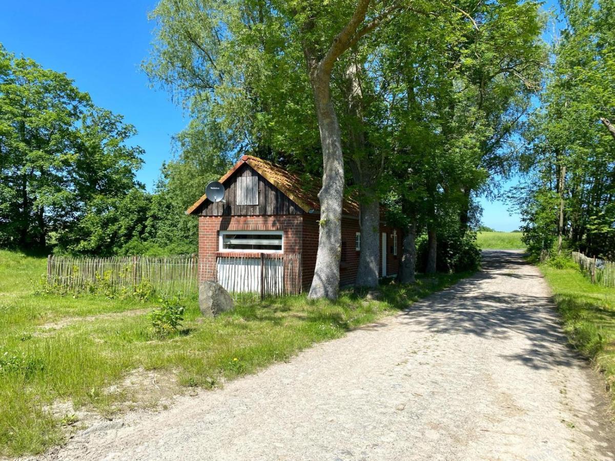 Hofgut Bisdamitz - Ferienhaus "Knoff" Екстериор снимка